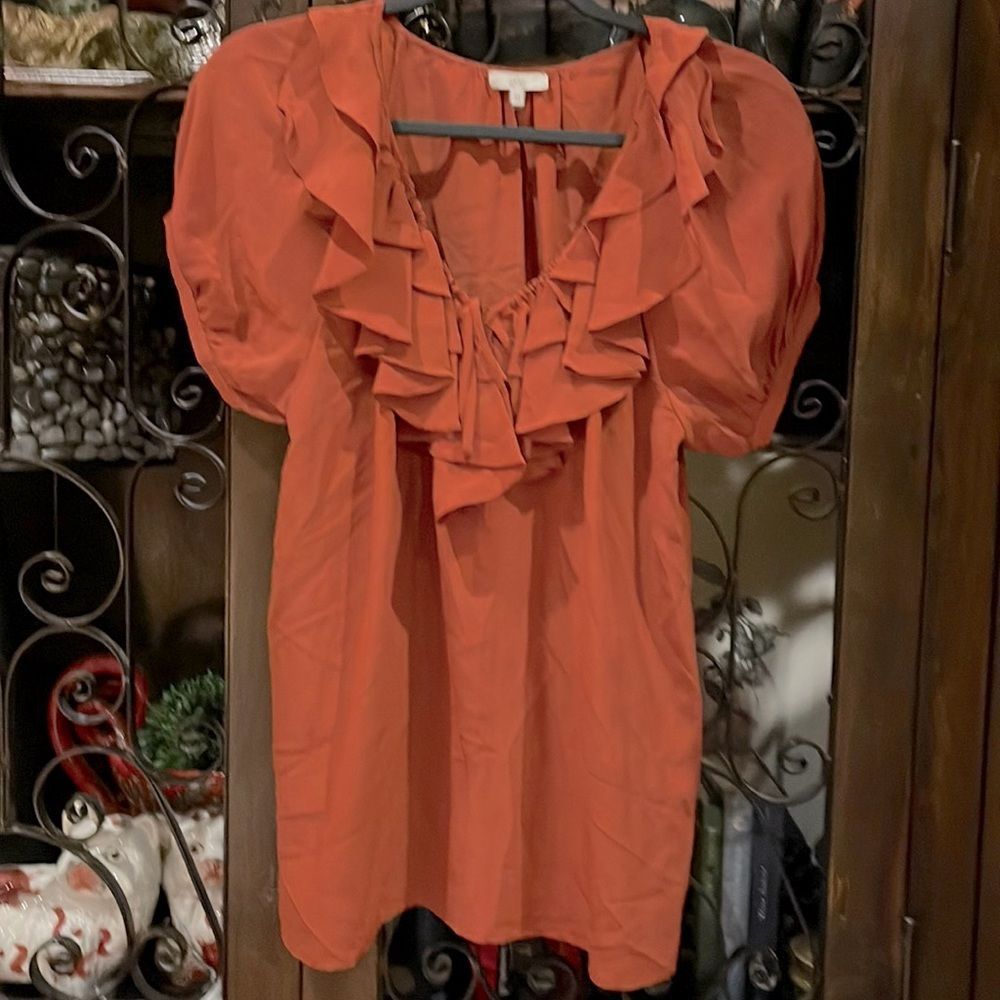 Joie ruffle neck top